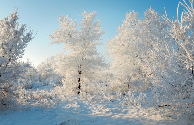 [今月のRemind] 12月のカレンダー