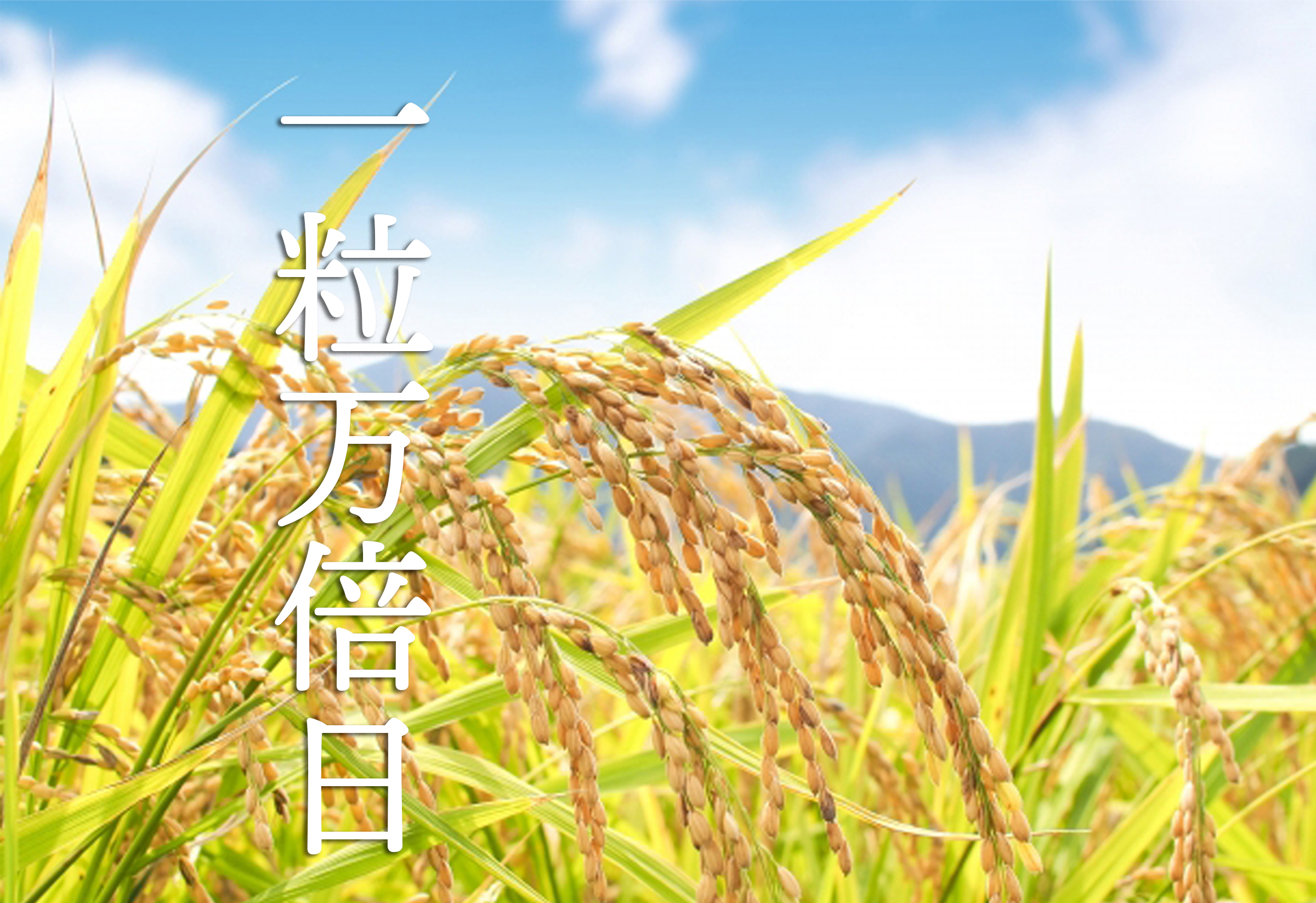 一粒万倍日とは 暦のおはなし Store Blog Calendia