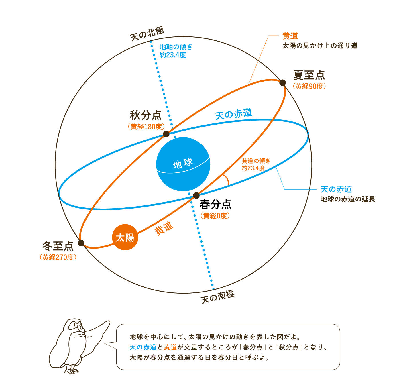 地球を中心にして、太陽の見かけの動きを表した図だよ。 天の赤道と黄道が交差するところが「春分点」と「秋分点」となり、 太陽が春分点を通過する日を春分日と呼ぶよ。