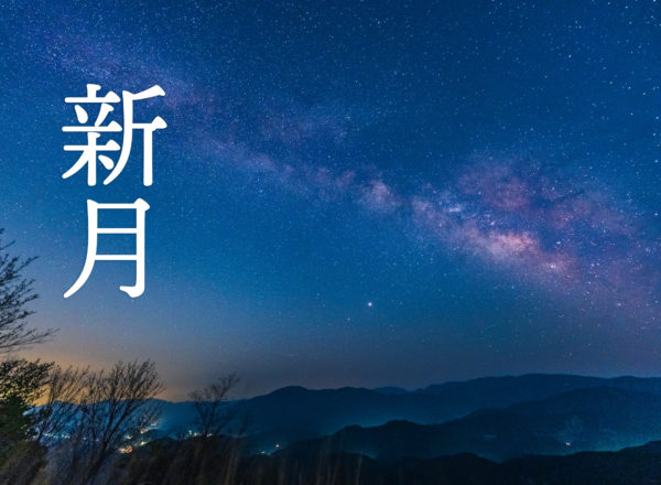 新月－NewMoon－［2025年版］