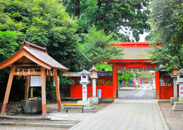 半年間の穢れを祓う『夏越の大祓』