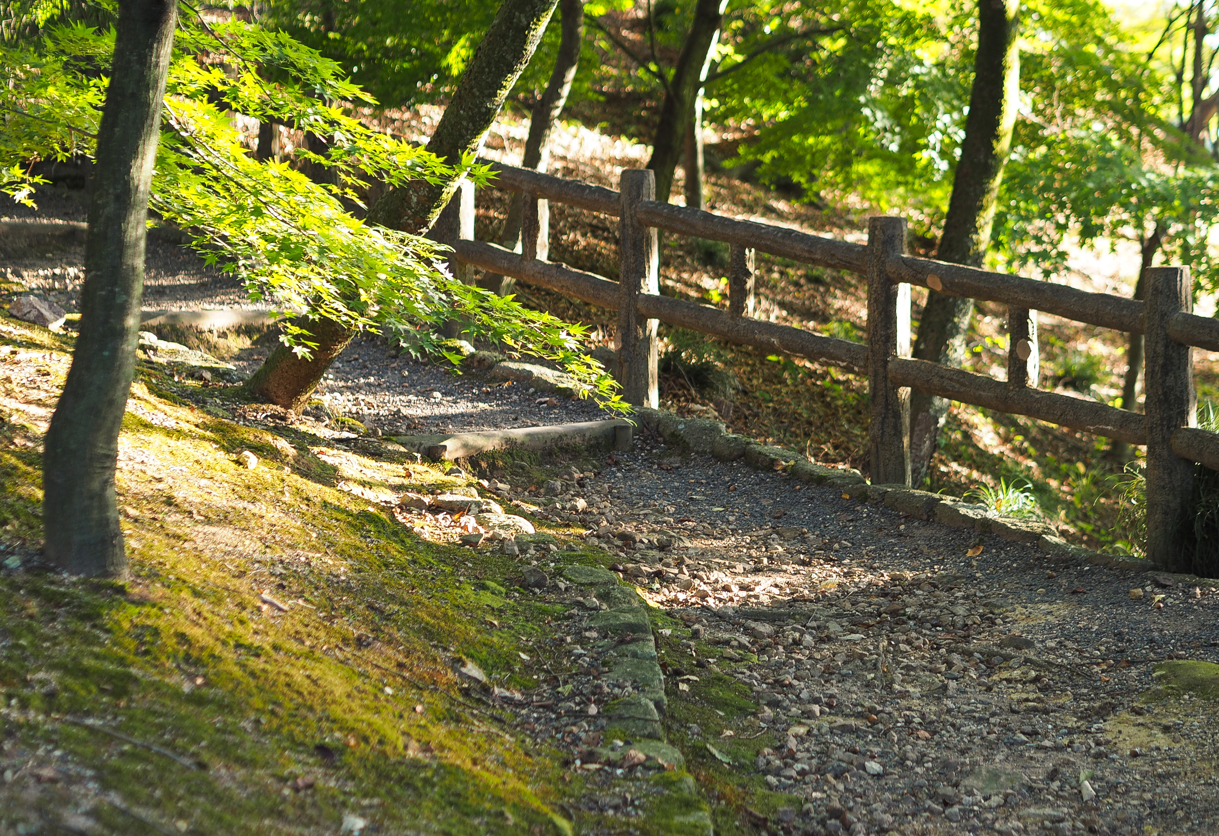 森林公園