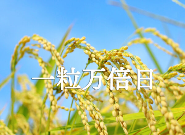 一粒万倍日－縁起の良い開運吉日－［2025年版］