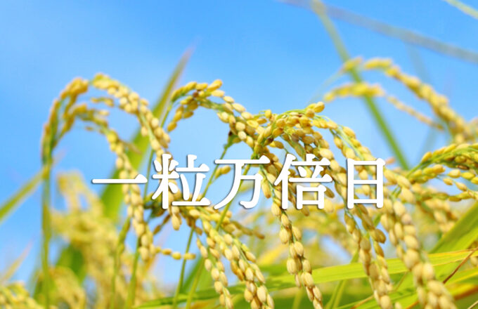 一粒万倍日－縁起の良い開運吉日－［2025年版］