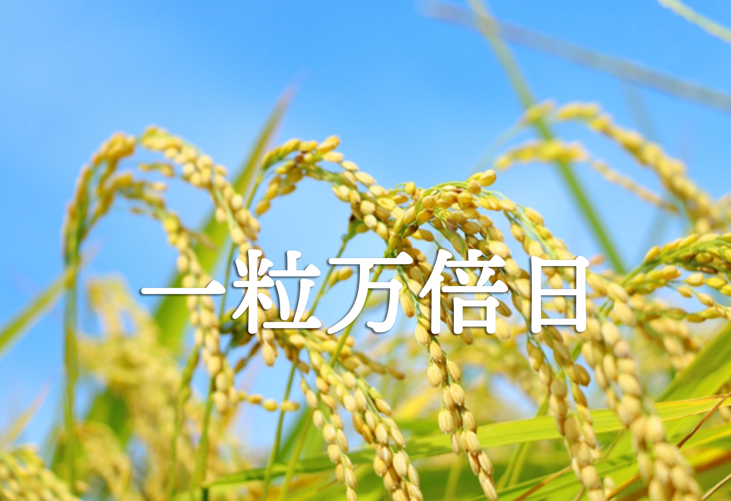 2026年版］一粒万倍日カレンダー｜幸運の種をまく開運吉日