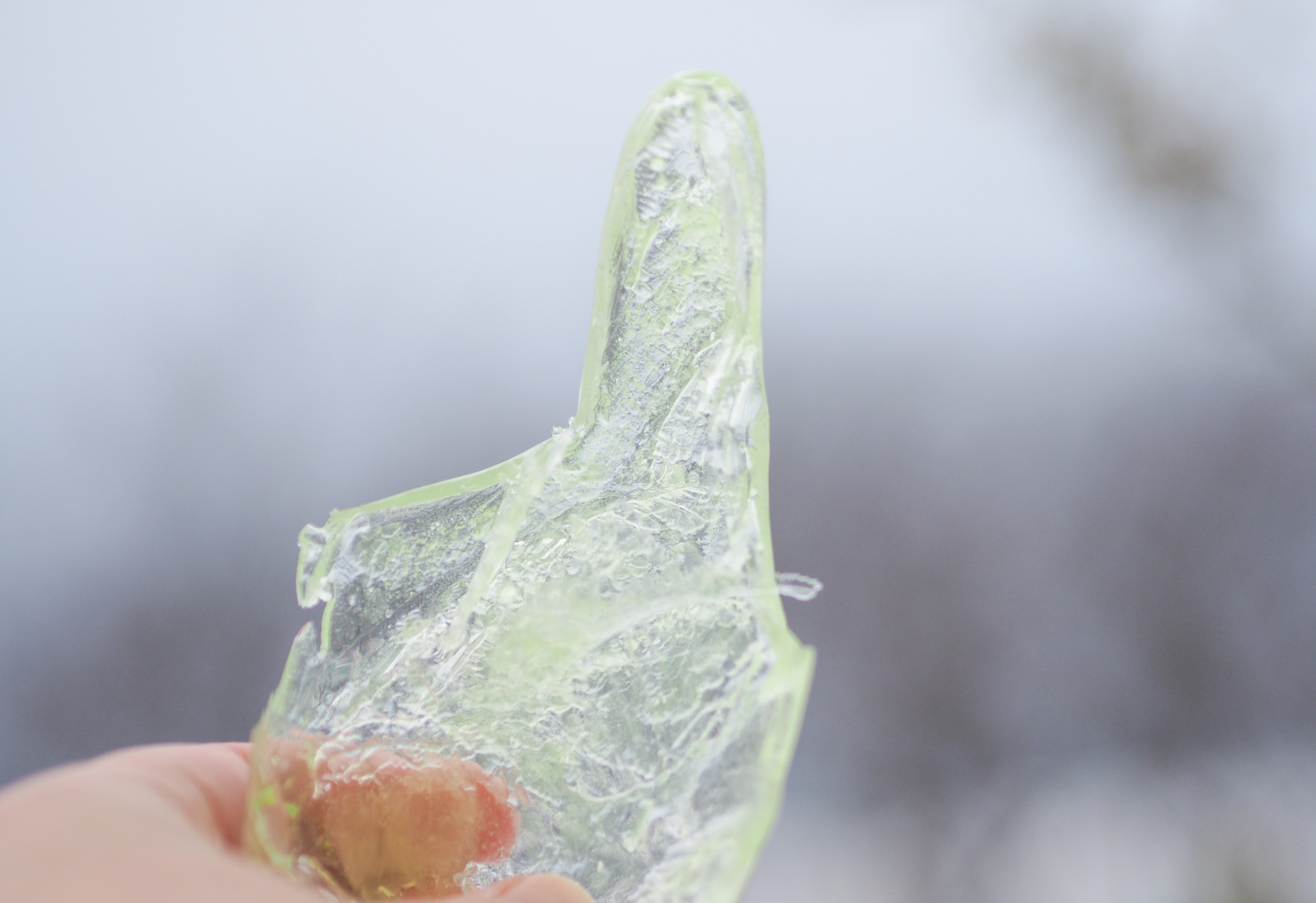 ゴム手袋で氷を作ろう