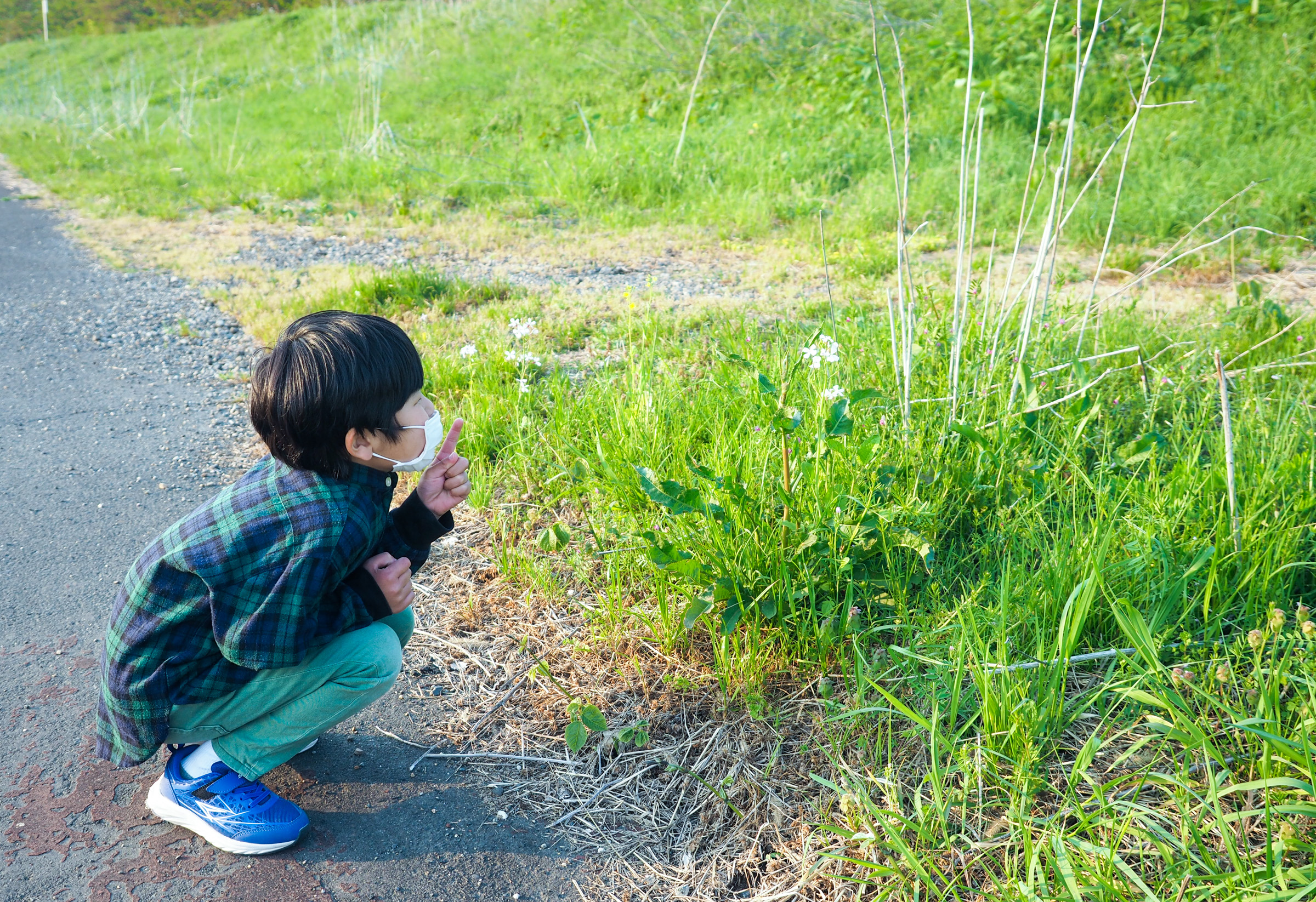 春の草花を探しに行こう