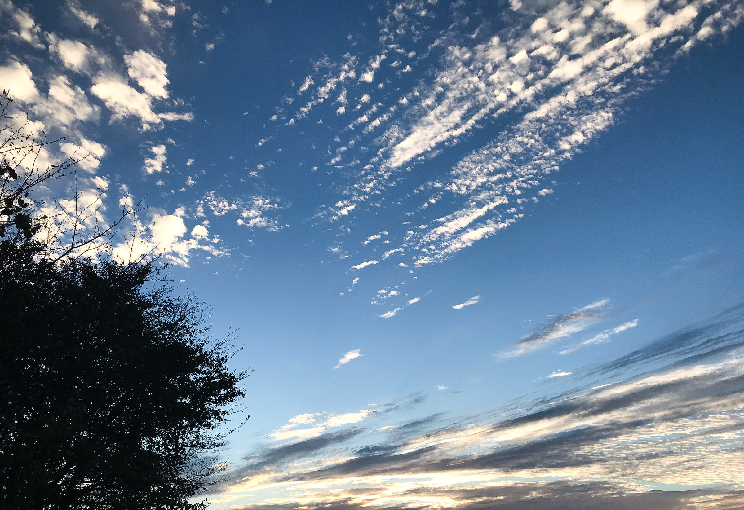 秋の空