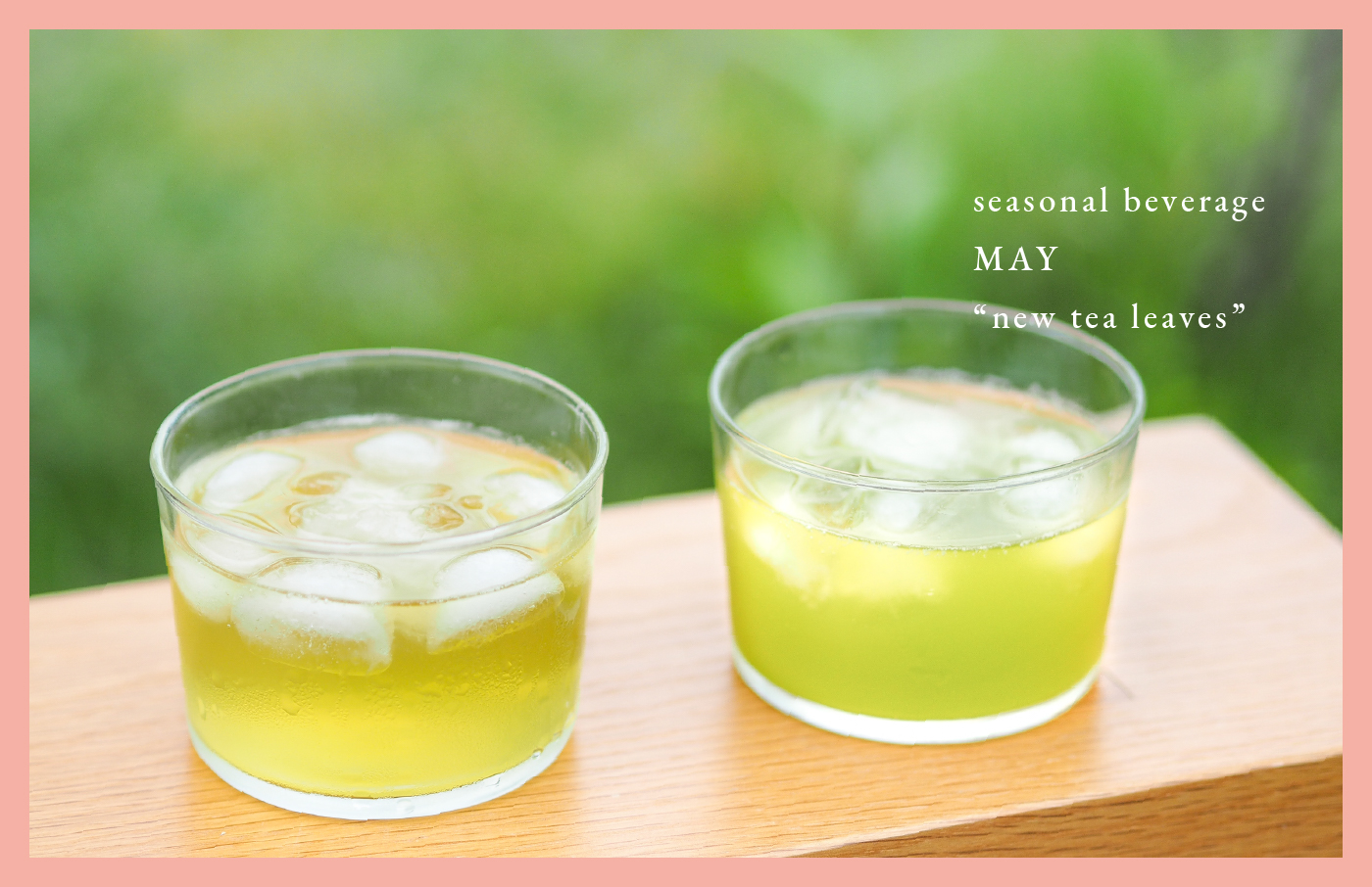 新茶
