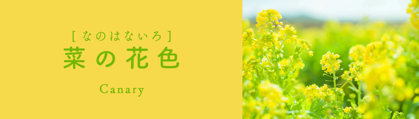 菜の花色