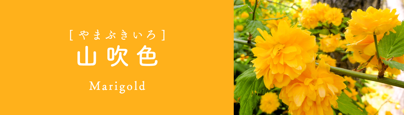 山吹色