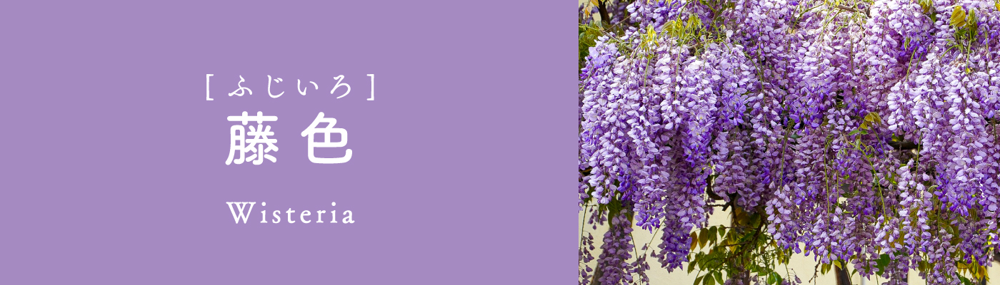藤色