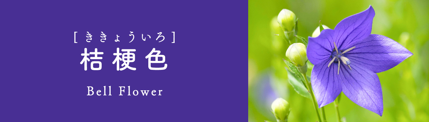 桔梗色