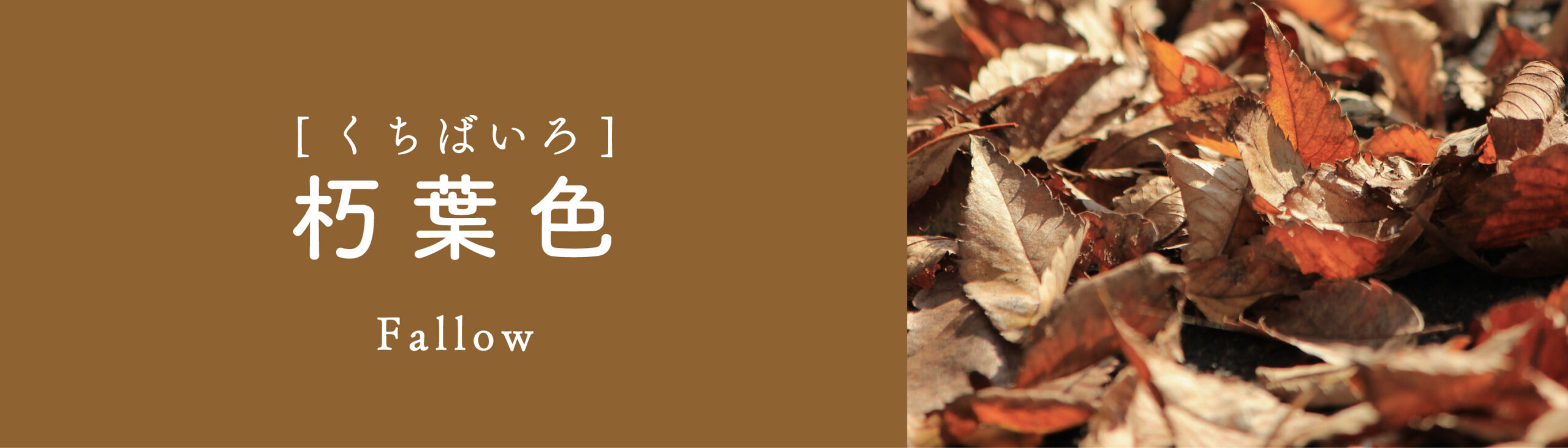 朽葉色