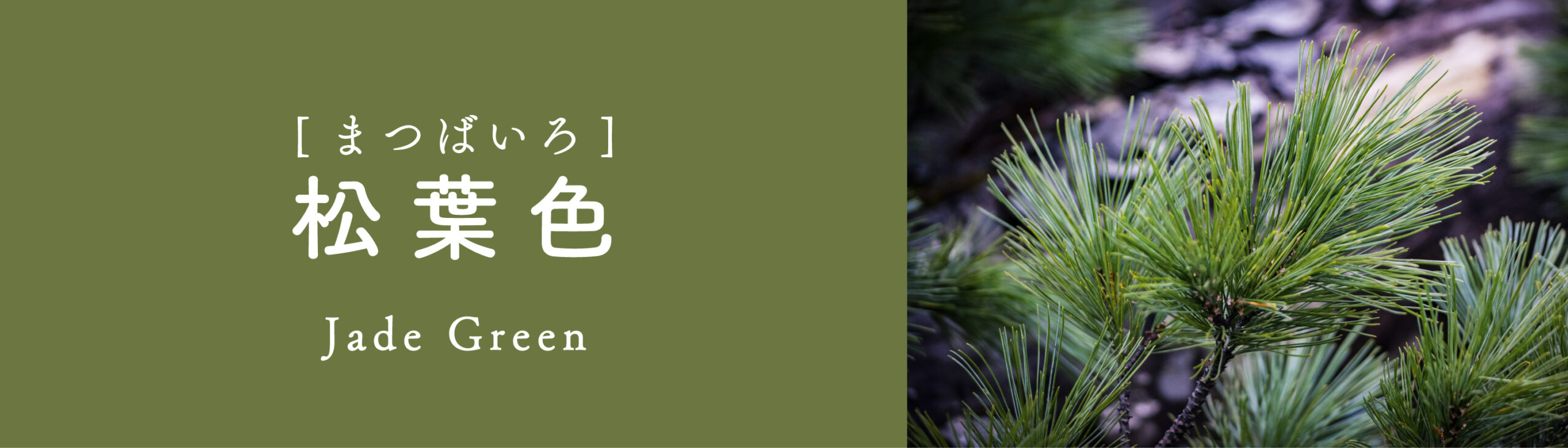松葉色
