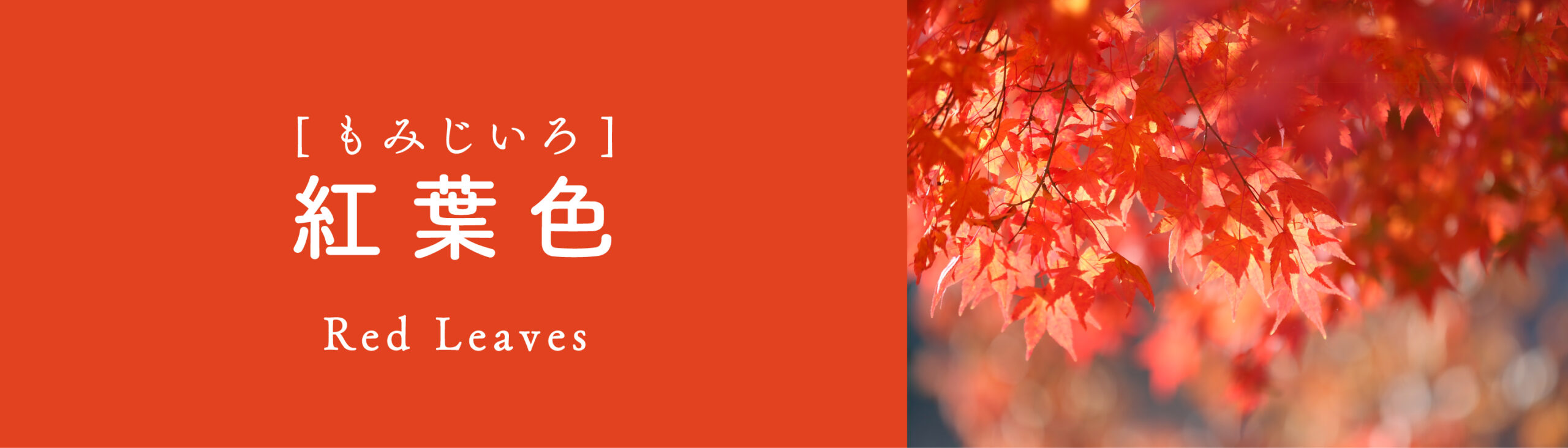 紅葉色