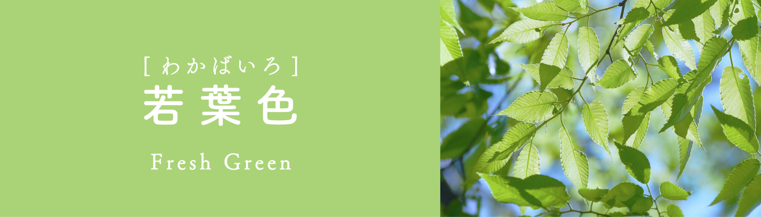 若葉色