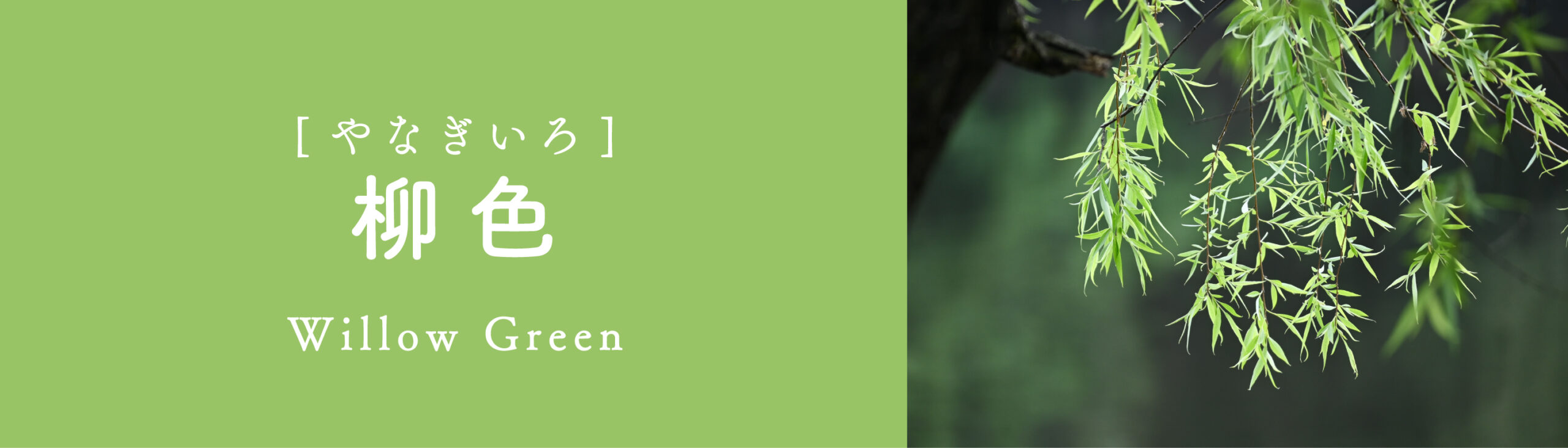 柳色