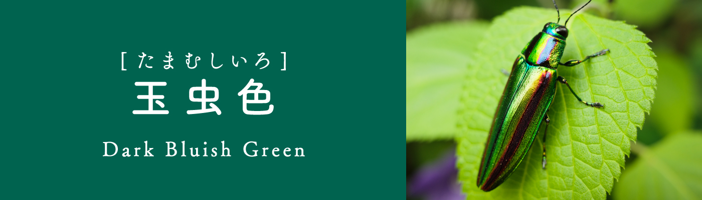 玉虫色