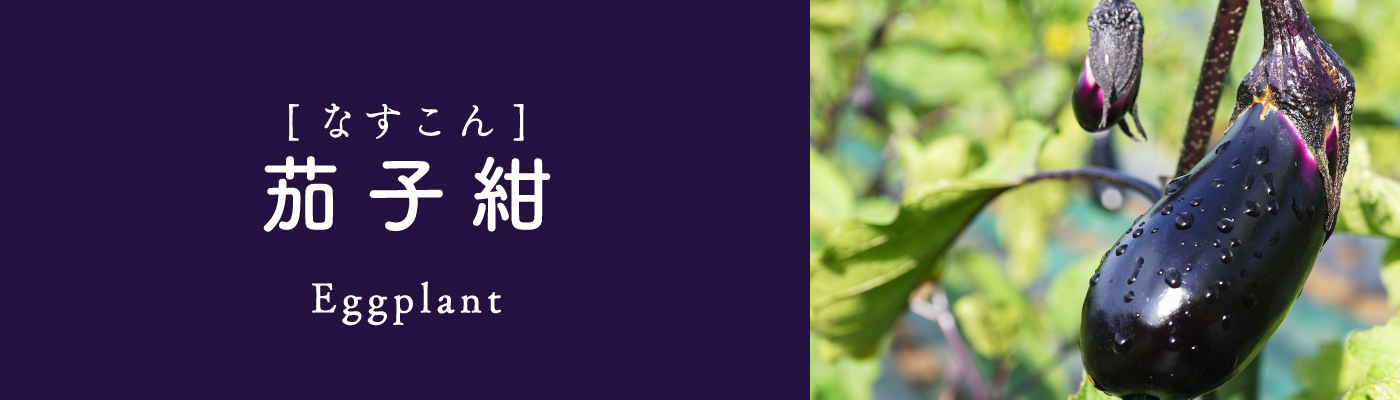 茄子紺